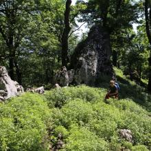 Skalami a húštinou