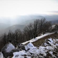 Slovensko-rakúske pohľady.