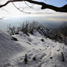 Pohľad oknom.