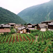 cestou do Švajčiarska