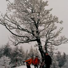 Skalnatá (704 m.n.m.)