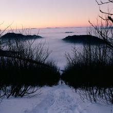 Chodníkom nechodníkom dolu