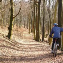 S plným žalúdkom sa hneď horšie bicykľuje